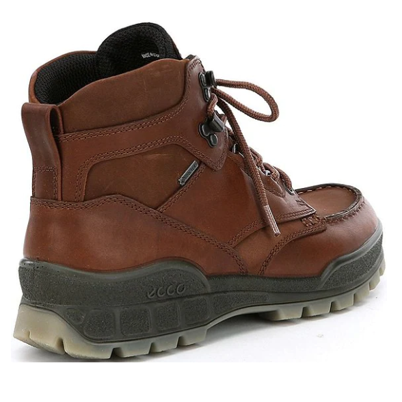 nan Ecco Men's Track 25 High Top Waterproof Hiking Boot, nan: 41, nan: nan, nan: nan