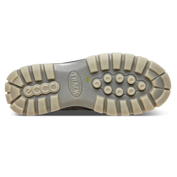 nan Ecco Men's Track 25 High Top Waterproof Hiking Boot, nan: 42, nan: nan, nan: nan