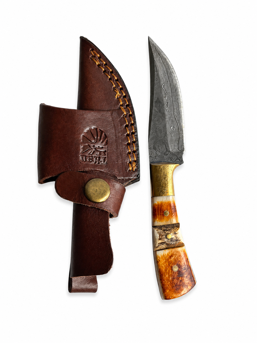 Titan International Titan Stag Ridge Damascus Knife TKT-14