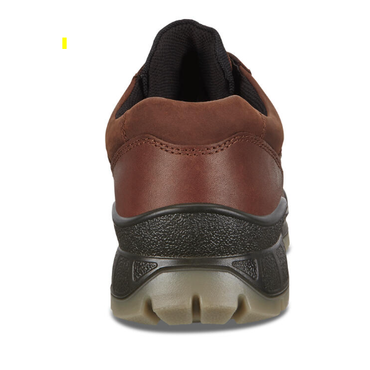 nan Ecco Men's Track 25 Low Top Waterproof Hiking Shoe, nan: 45, nan: nan, nan: nan